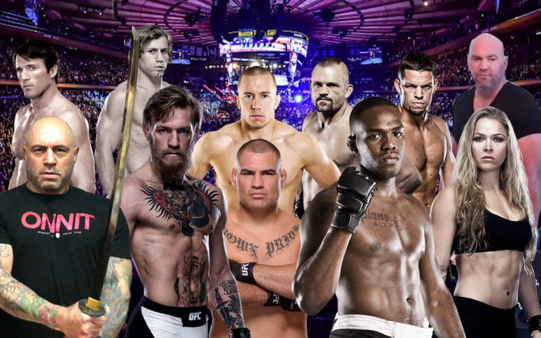 StatSocial Digital Tribes — Ready to Rumble