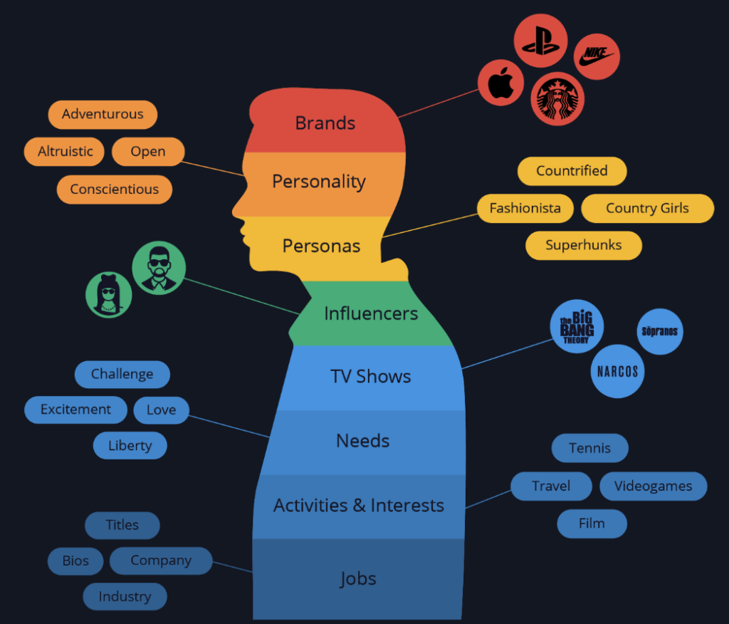 What we can glean from self-declared social audience data at the individual level.