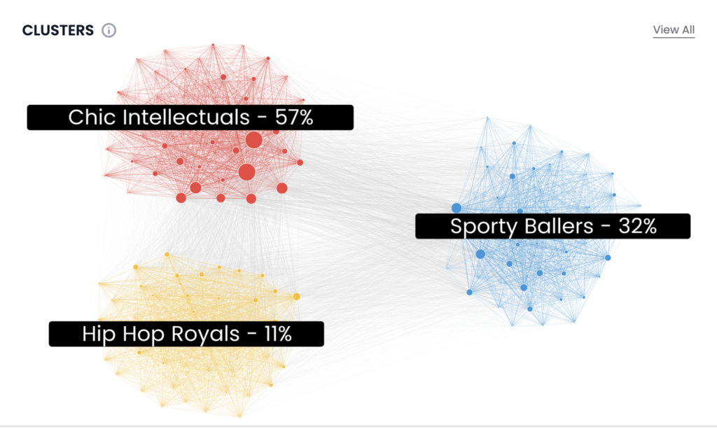 Designer menswear audience clusters