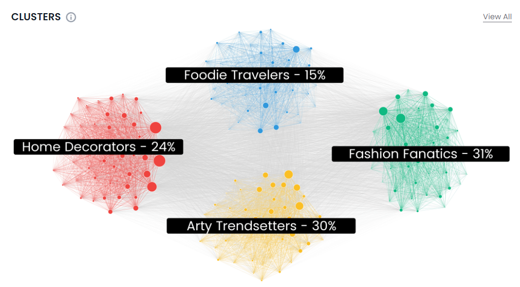 Clusters of a sample audience for Consumer Insights